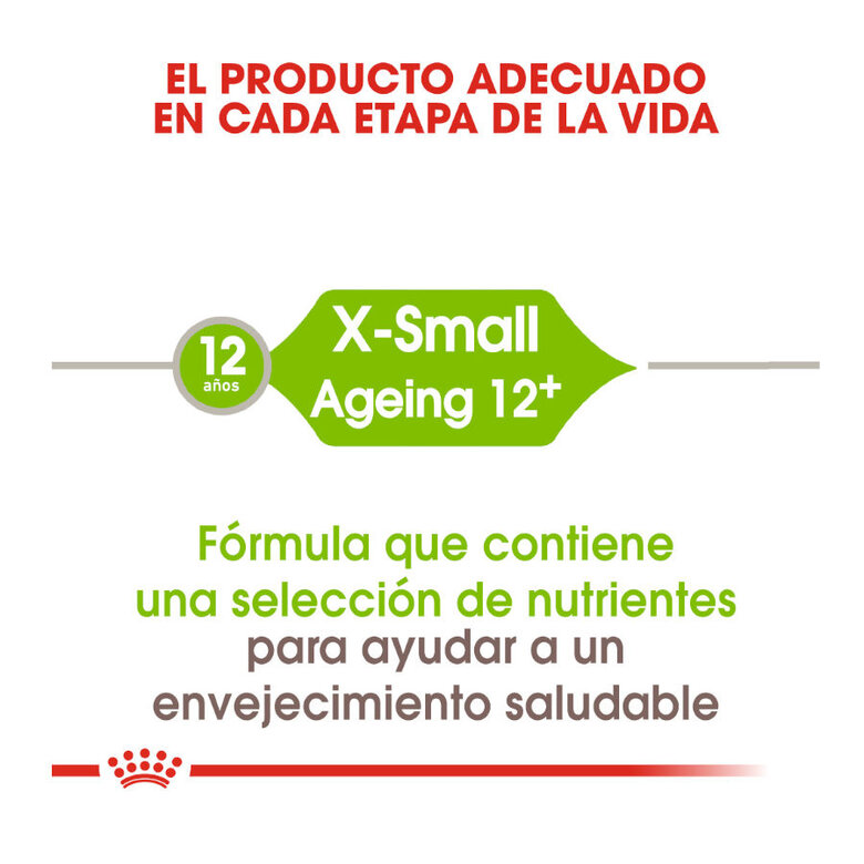 Royal Canin X-Small 12+ Adult pienso para perros, , large image number null